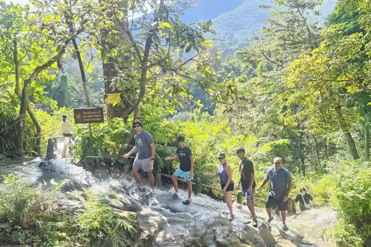 Bua Thong Sticky Waterfalls Private Tour from Chiang Mai