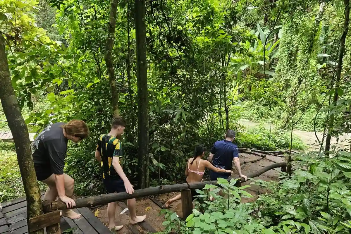 Bua Thong Sticky Waterfalls Private Tour from Chiang Mai photo 3